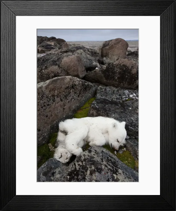 Framed Print : DDE-90033575