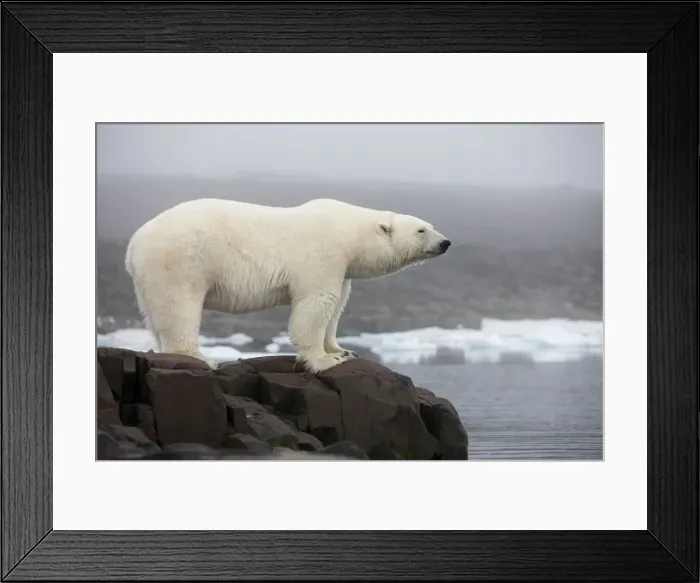 Framed Print : DDE-90033578