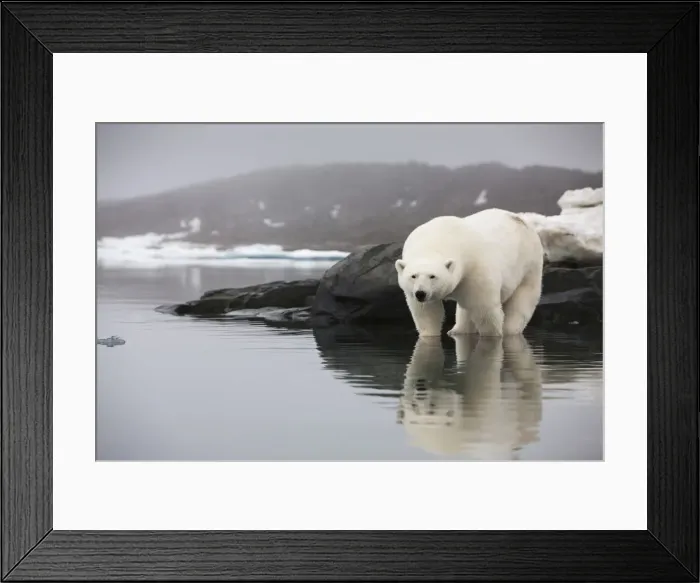 Framed Print : DDE-90033580 Framed Print : DDE-90033580