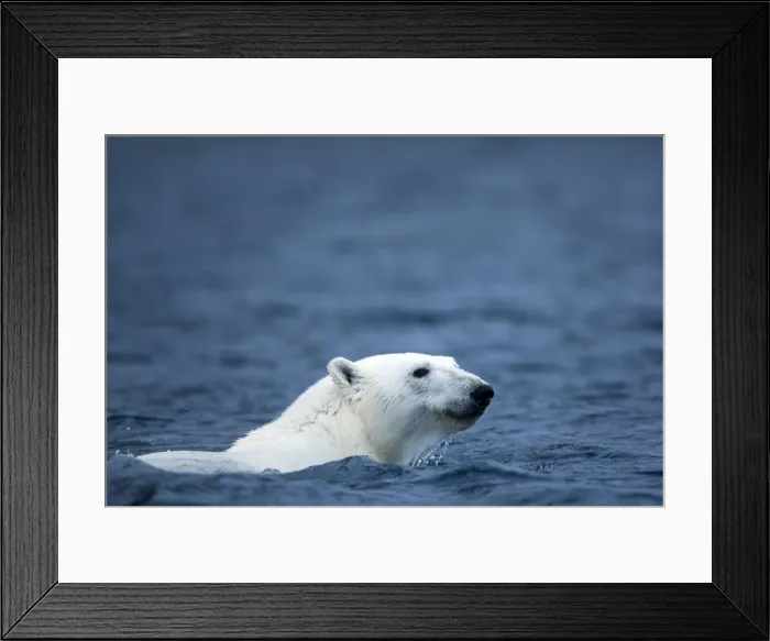 Framed Print : DDE-90033581