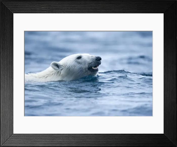 Framed Print : DDE-90033582 Framed Print : DDE-90033582