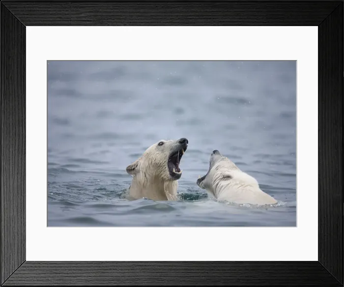 Framed Print : DDE-90033584 Framed Print : DDE-90033584
