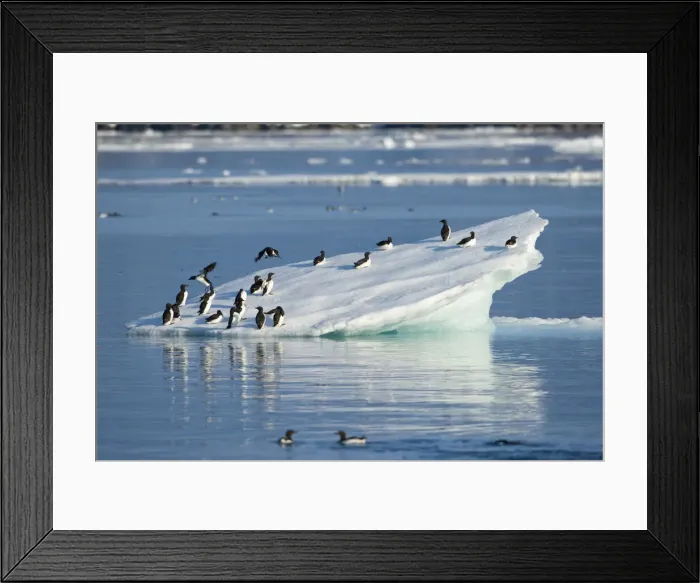 Framed Print : DDE-90033588