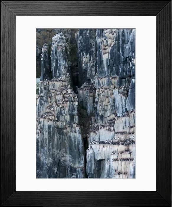 Framed Print : DDE-90033590 Framed Print : DDE-90033590
