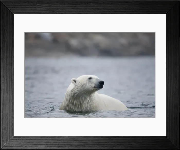 Framed Print : DDE-90033593 Framed Print : DDE-90033593