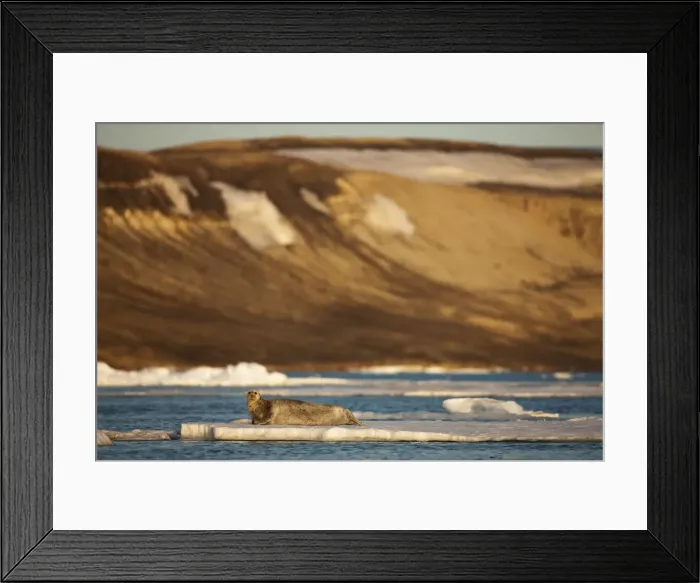 Framed Print : DDE-90033594 Framed Print : DDE-90033594