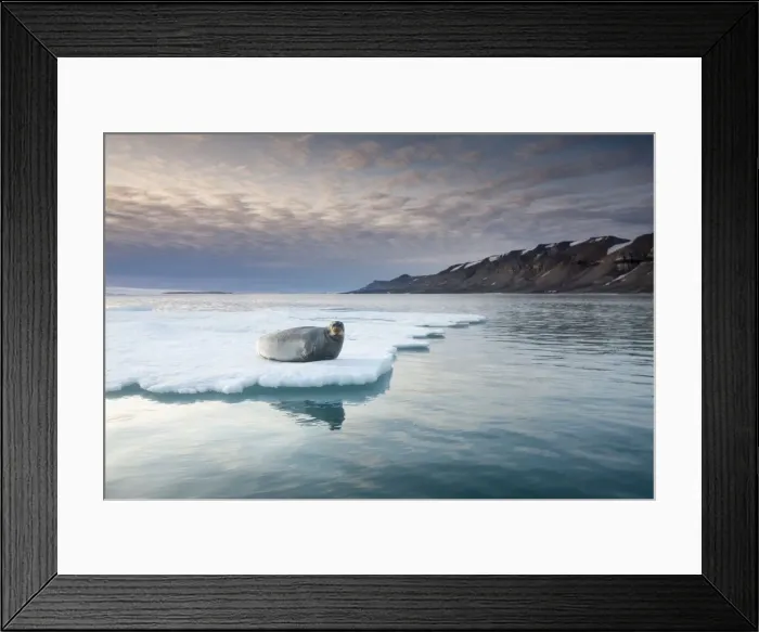 Framed Print : DDE-90033598 Framed Print : DDE-90033598
