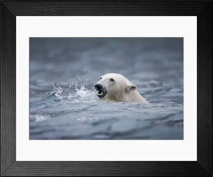 Framed Print : DDE-90033613 Framed Print : DDE-90033613