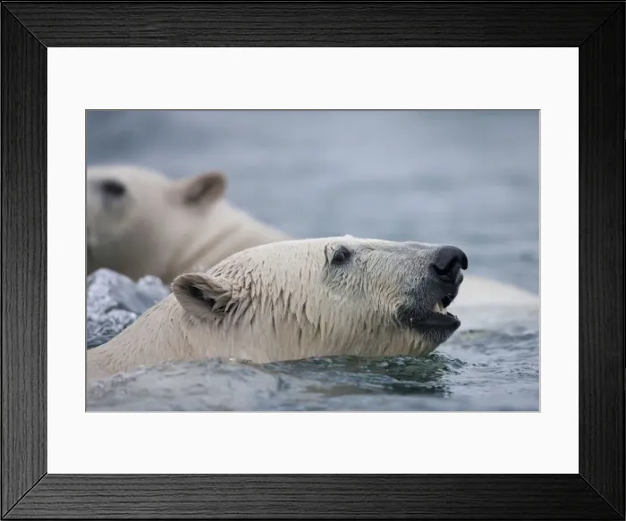 Framed Print : DDE-90033619