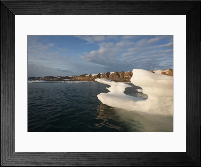 Framed Print : DDE-90033621 Framed Print : DDE-90033621