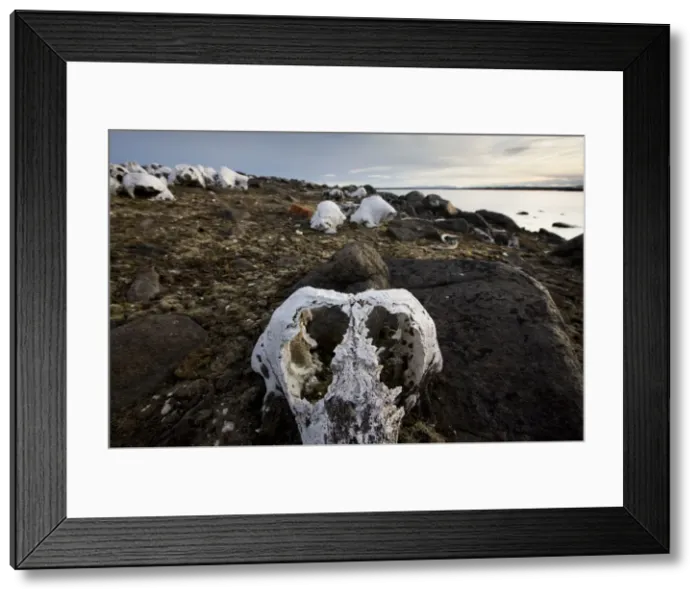 Framed Print : DDE-90033626 Framed Print : DDE-90033626