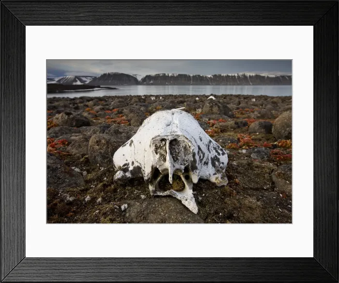 Framed Print : DDE-90033627 Framed Print : DDE-90033627