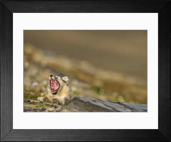 Framed Print : DDE-90033644 Framed Print : DDE-90033644