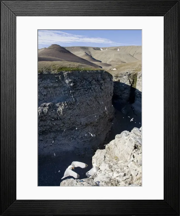 Framed Print : DDE-90033664