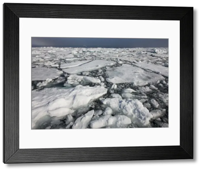 Framed Print : DDE-90033666 Framed Print : DDE-90033666