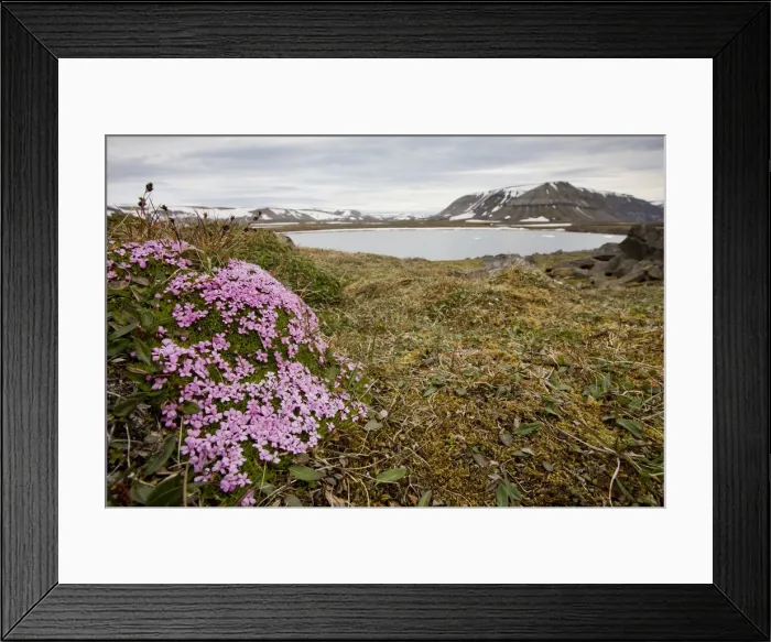 Framed Print : DDE-90033672 Framed Print : DDE-90033672