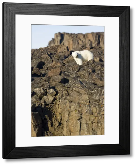 Framed Print : DDE-90033677 Framed Print : DDE-90033677