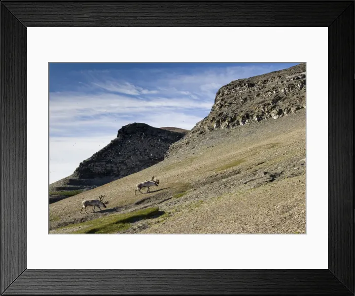 Framed Print : DDE-90033681 Framed Print : DDE-90033681