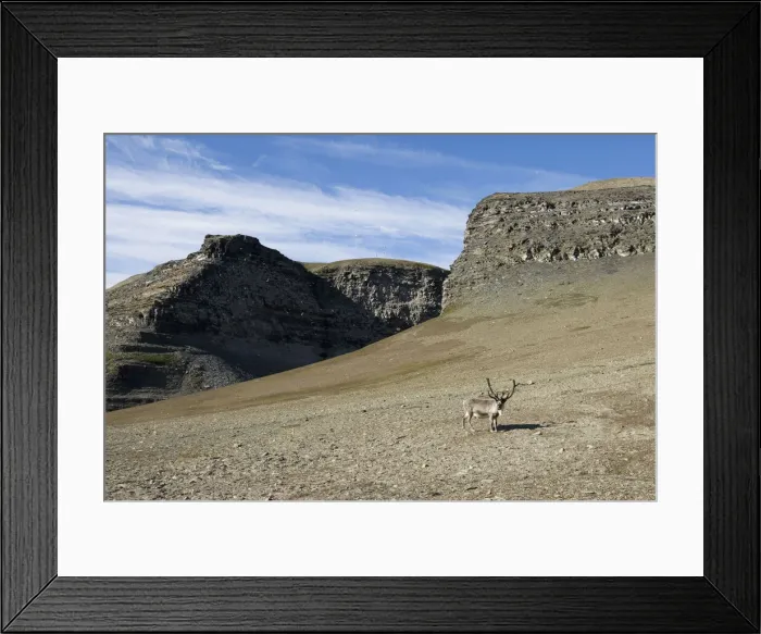 Framed Print : DDE-90033684 Framed Print : DDE-90033684