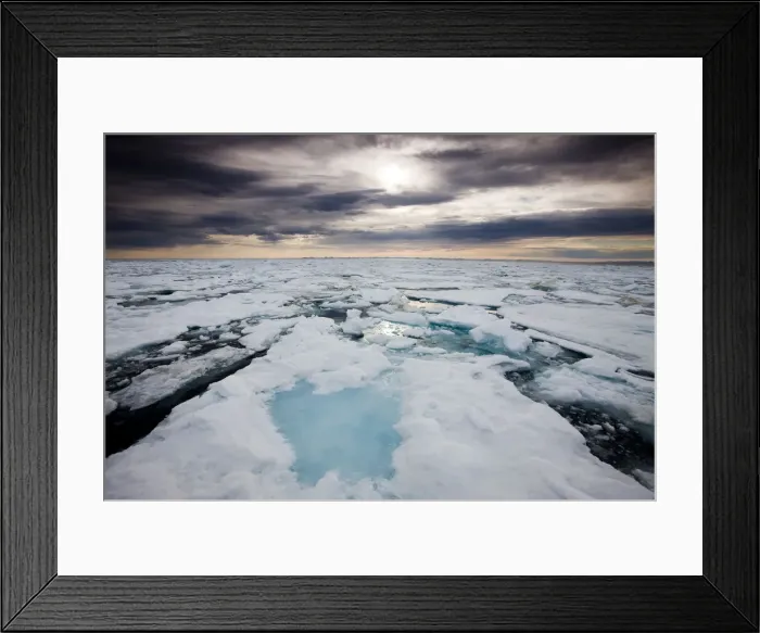 Framed Print : DDE-90033687
