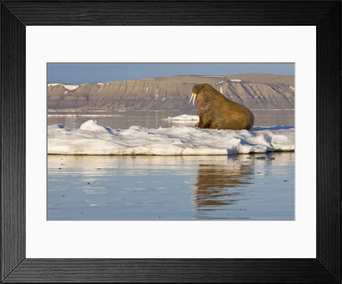 Framed Print : DDE-90033697