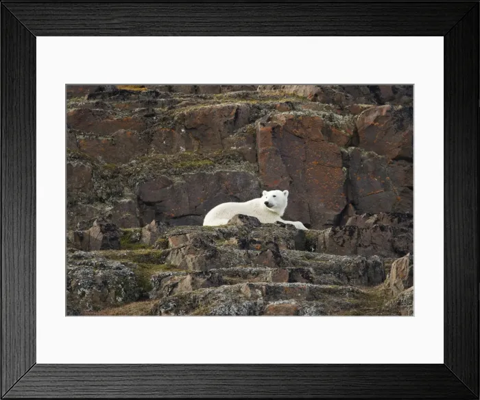 Framed Print : DDE-90033712 Framed Print : DDE-90033712