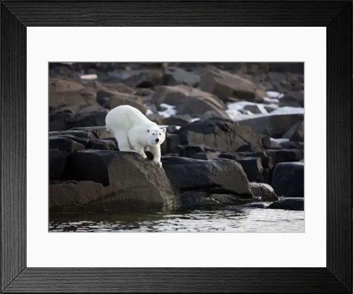 Framed Print : DDE-90033717 Framed Print : DDE-90033717