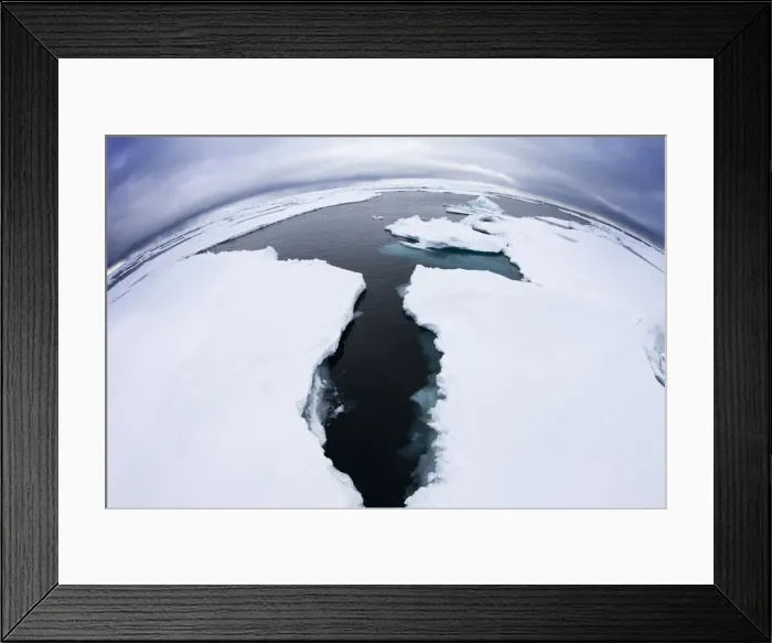 Framed Print : DDE-90033727 Framed Print : DDE-90033727