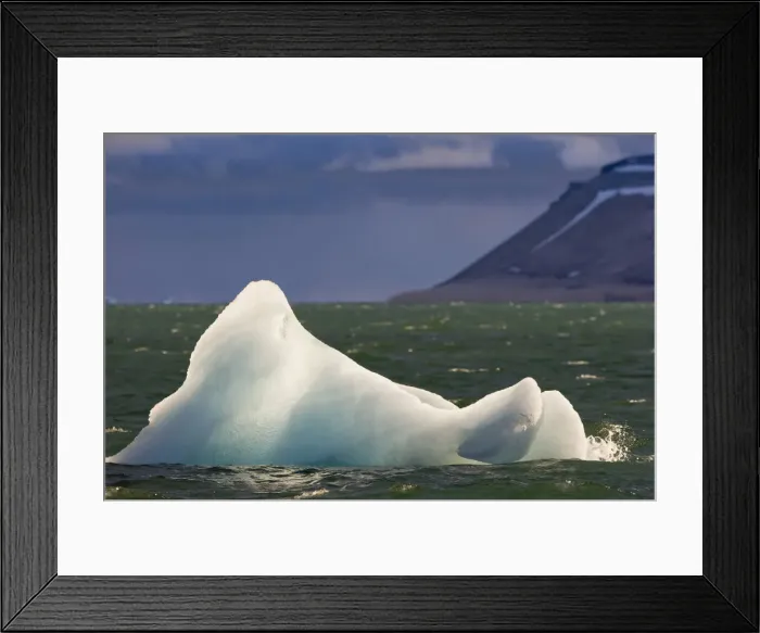 Framed Print : DDE-90033741 Framed Print : DDE-90033741