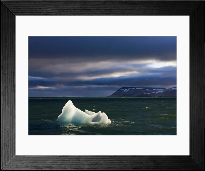 Framed Print : DDE-90033743 Framed Print : DDE-90033743