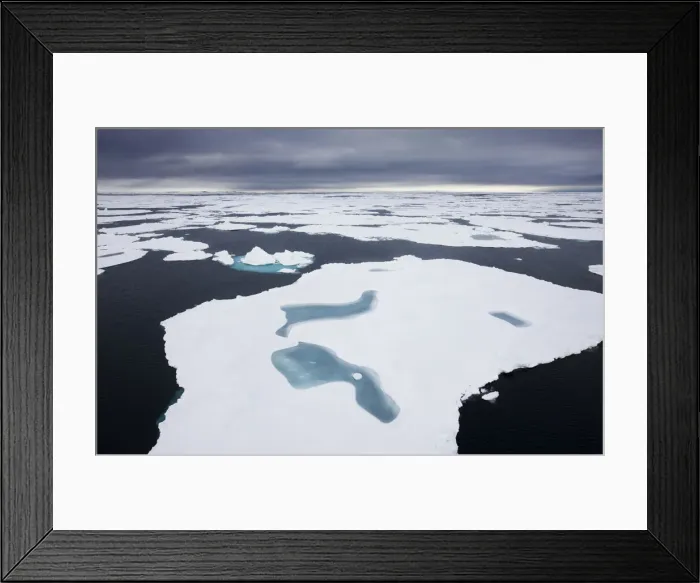 Framed Print : DDE-90033745 Framed Print : DDE-90033745