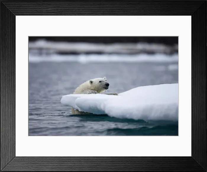 Framed Print : DDE-90033753 Framed Print : DDE-90033753