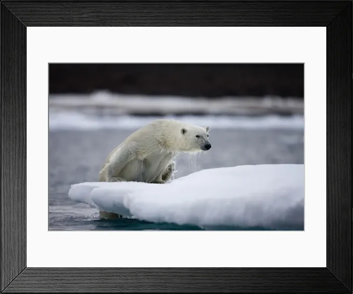 Framed Print : DDE-90033754 Framed Print : DDE-90033754