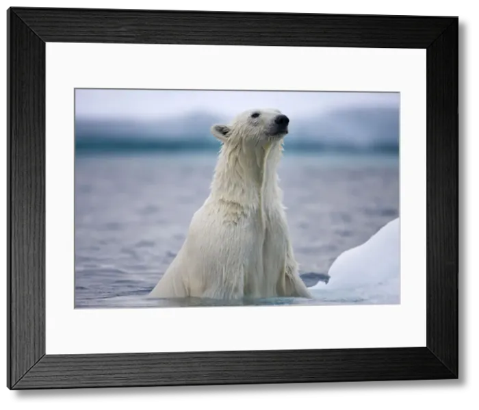 Framed Print : DDE-90033755 Framed Print : DDE-90033755