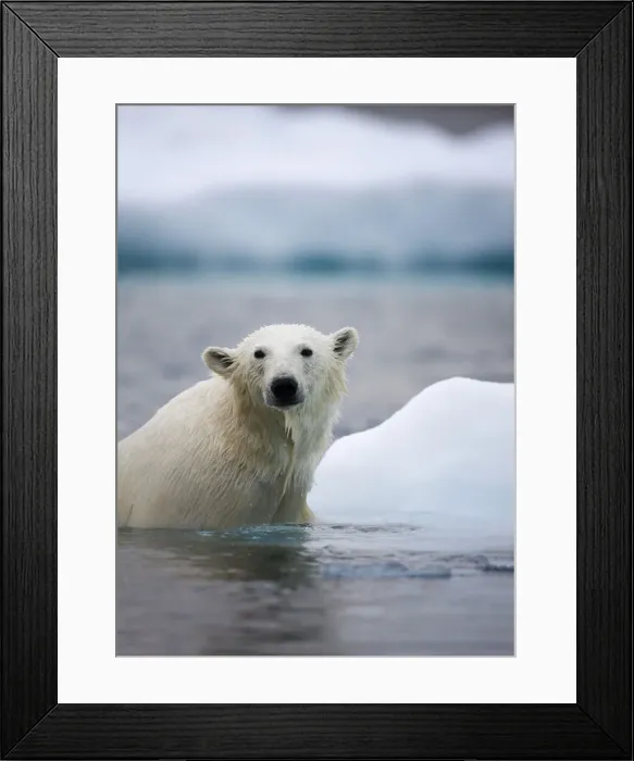 Framed Print : DDE-90033756 Framed Print : DDE-90033756