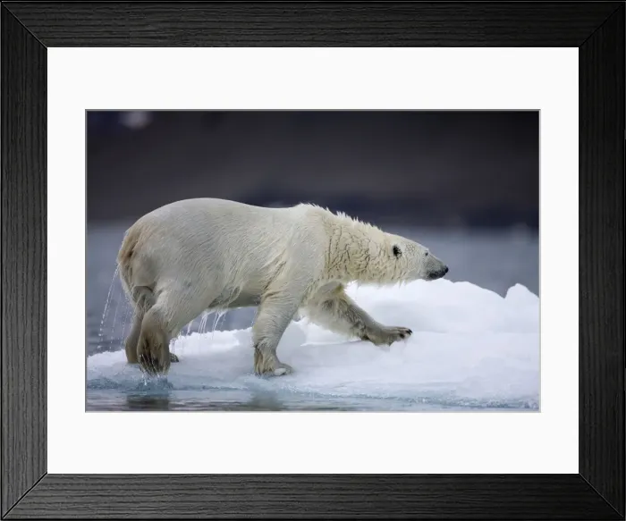 Framed Print : DDE-90033758 Framed Print : DDE-90033758
