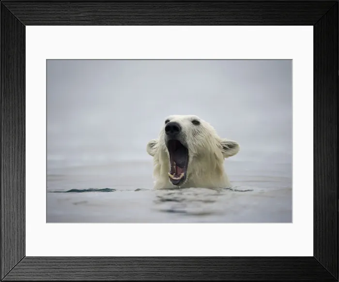 Framed Print : DDE-90033759 Framed Print : DDE-90033759