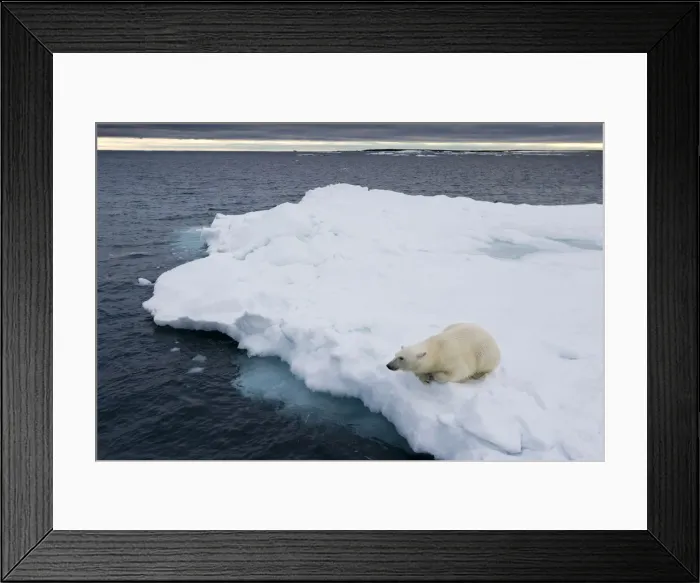 Framed Print : DDE-90033761 Framed Print : DDE-90033761