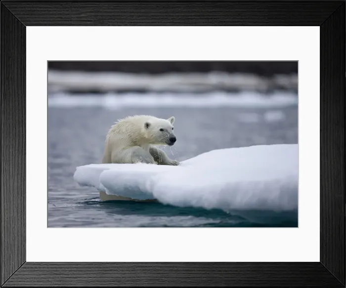 Framed Print : DDE-90033752 Framed Print : DDE-90033752