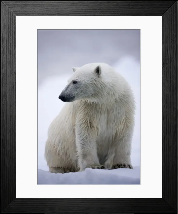 Framed Print : DDE-90033763 Framed Print : DDE-90033763