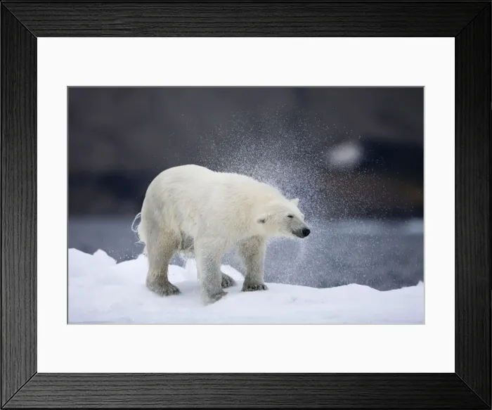 Framed Print : DDE-90033762