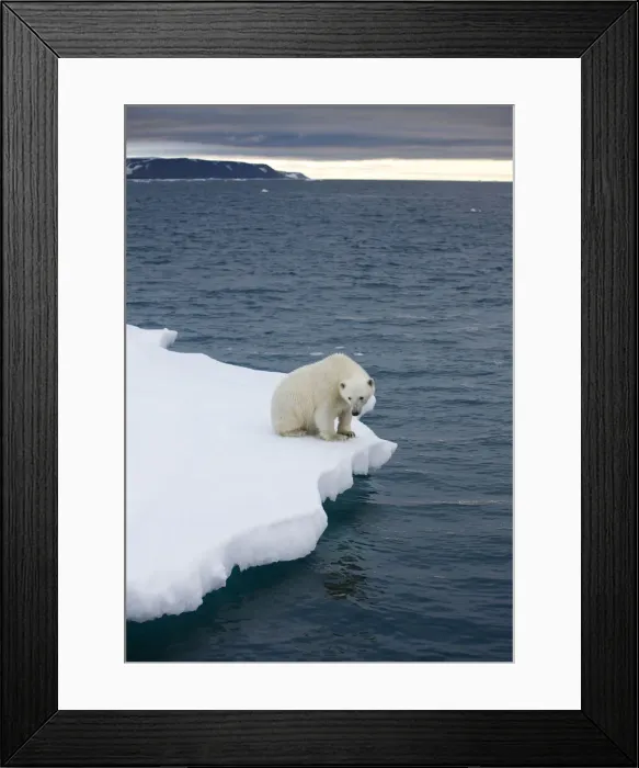 Framed Print : DDE-90033765 Framed Print : DDE-90033765