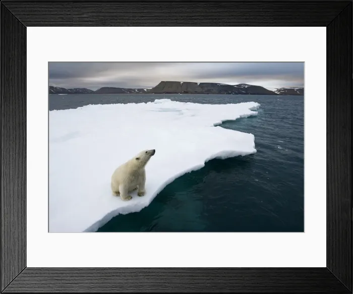 Framed Print : DDE-90033764 Framed Print : DDE-90033764