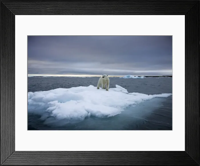 Framed Print : DDE-90033767 Framed Print : DDE-90033767