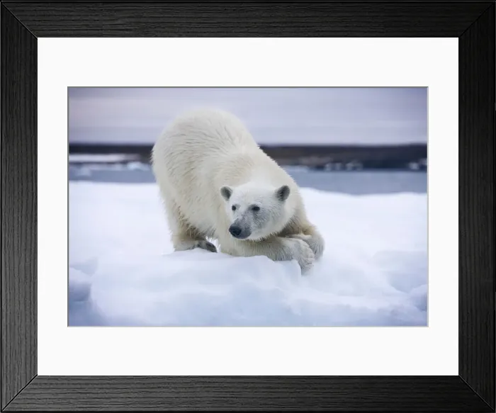 Framed Print : DDE-90033766 Framed Print : DDE-90033766