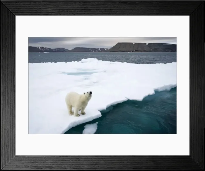 Framed Print : DDE-90033770 Framed Print : DDE-90033770
