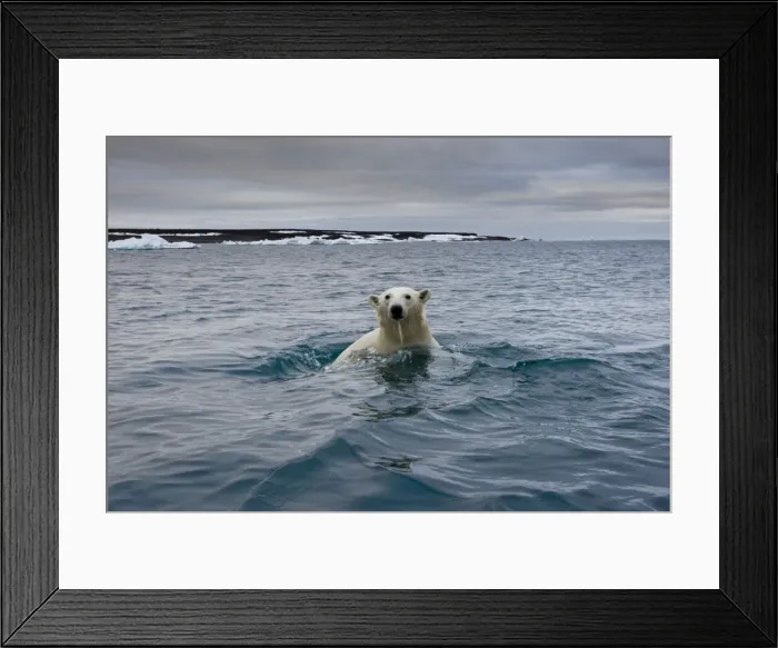 Framed Print : DDE-90033780 Framed Print : DDE-90033780