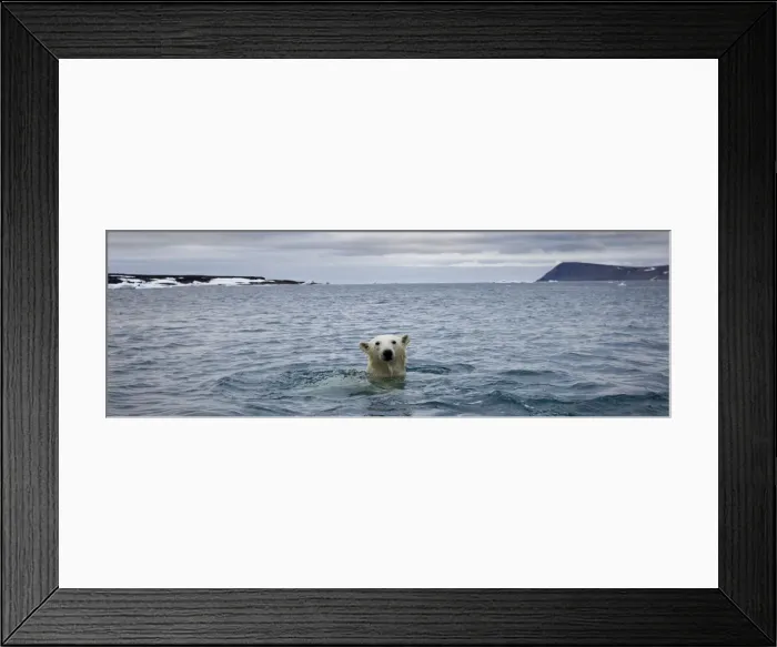 Framed Print : DDE-90033781 Framed Print : DDE-90033781
