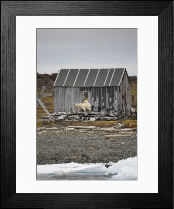 Framed Print : DDE-90033783