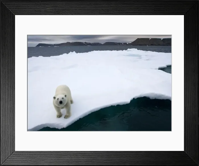 Framed Print : DDE-90033786 Framed Print : DDE-90033786